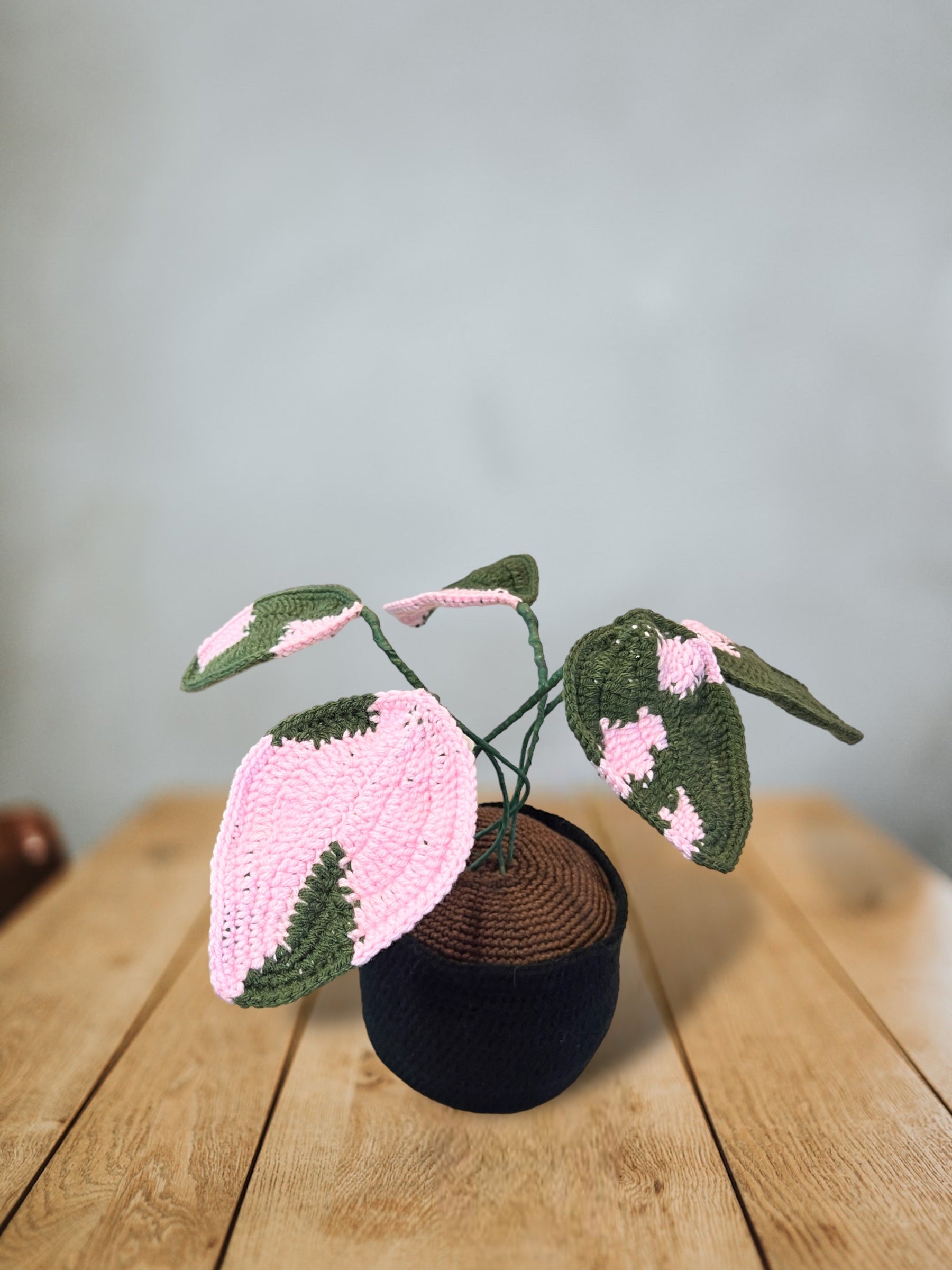 ppp philodendron Crochet Pink Princess Philodendron PPP – JuliesJewelsCorp