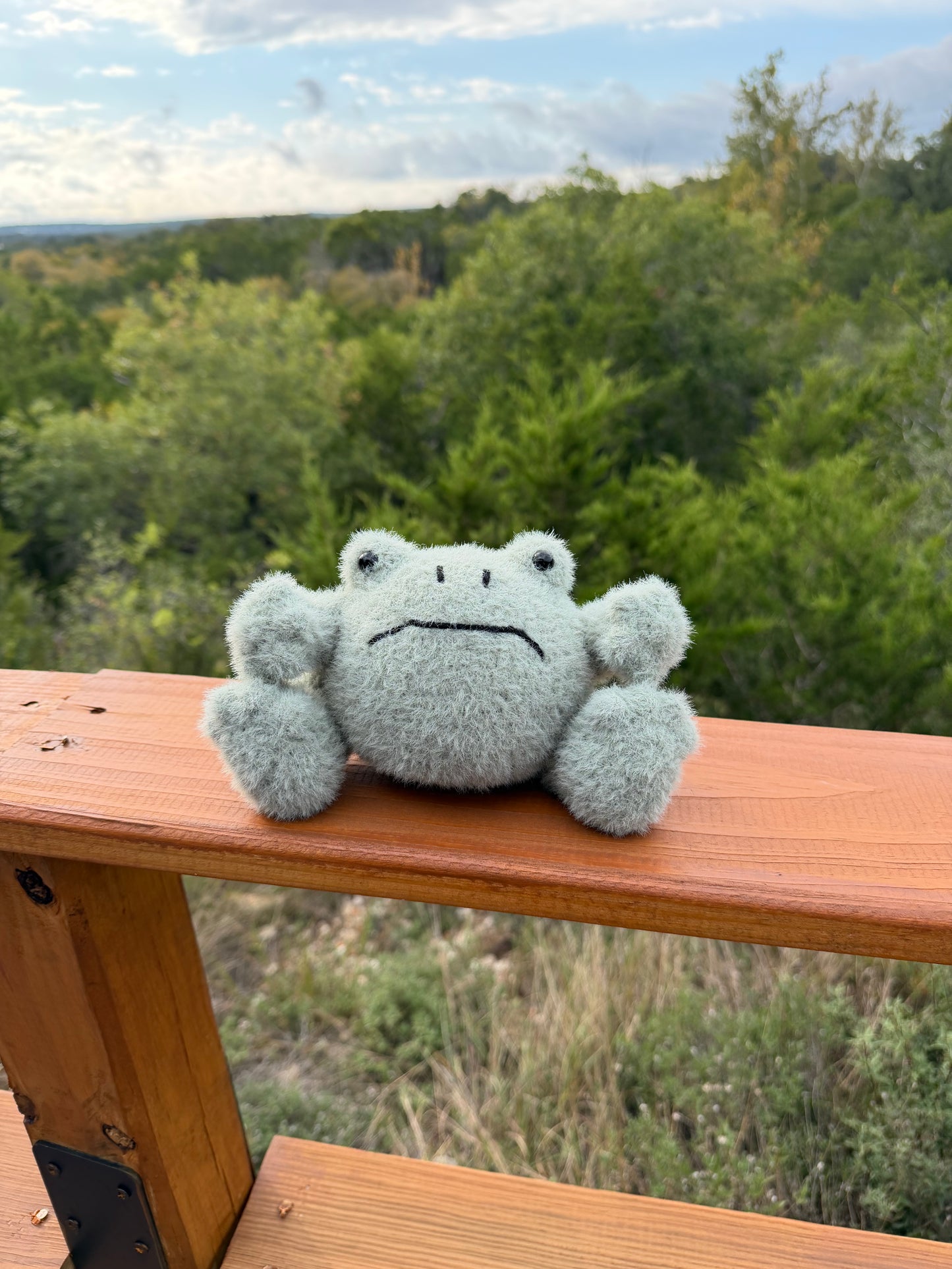 Fuzzy Grumpy Frog Wizard