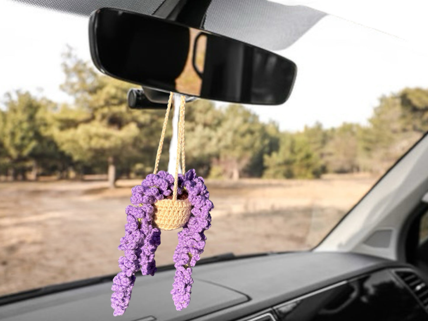 Car Hanger Crochet Amigurumi Repot-able House Plants