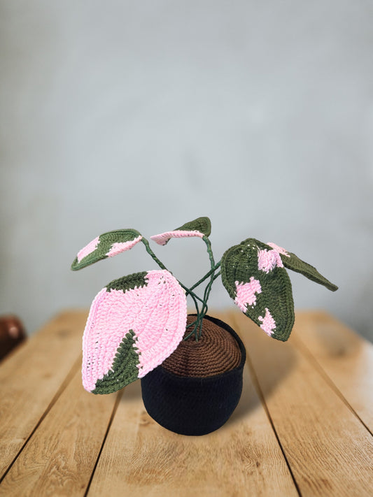 Crochet Pink Princess Philodendron PPP