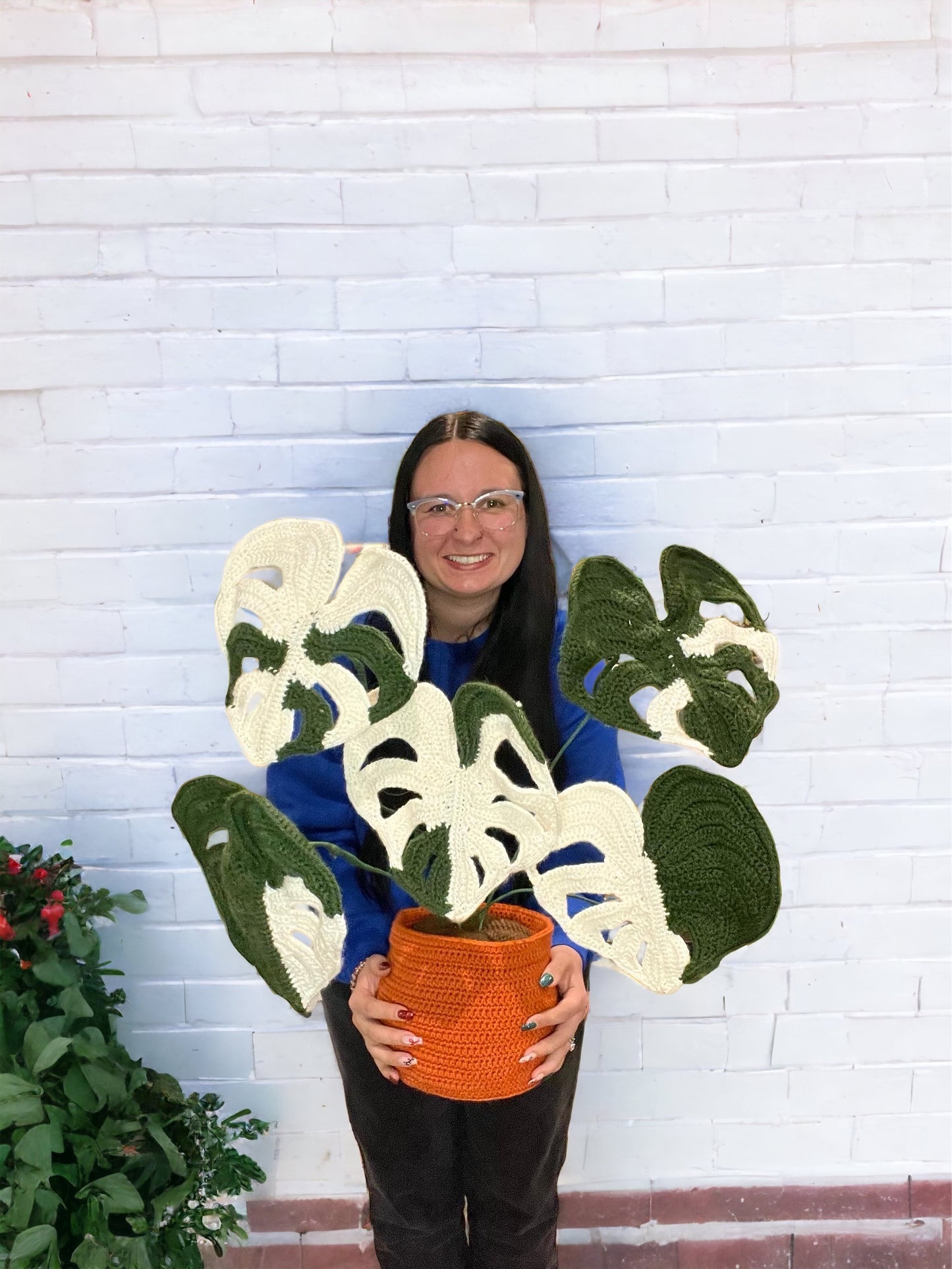 Crochet Amigurumi Monstera Albo Variegated White