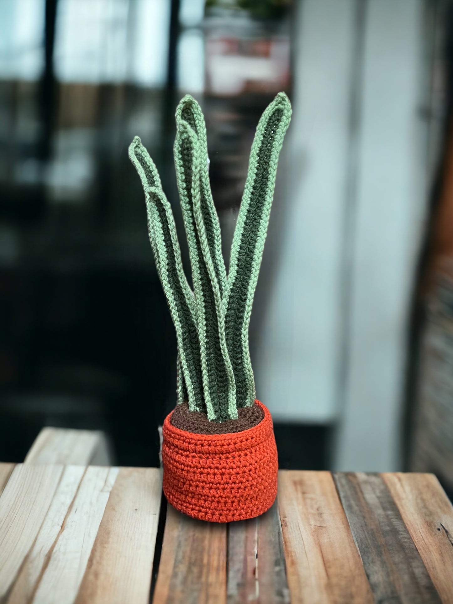 Crochet Realistic Snake Plant