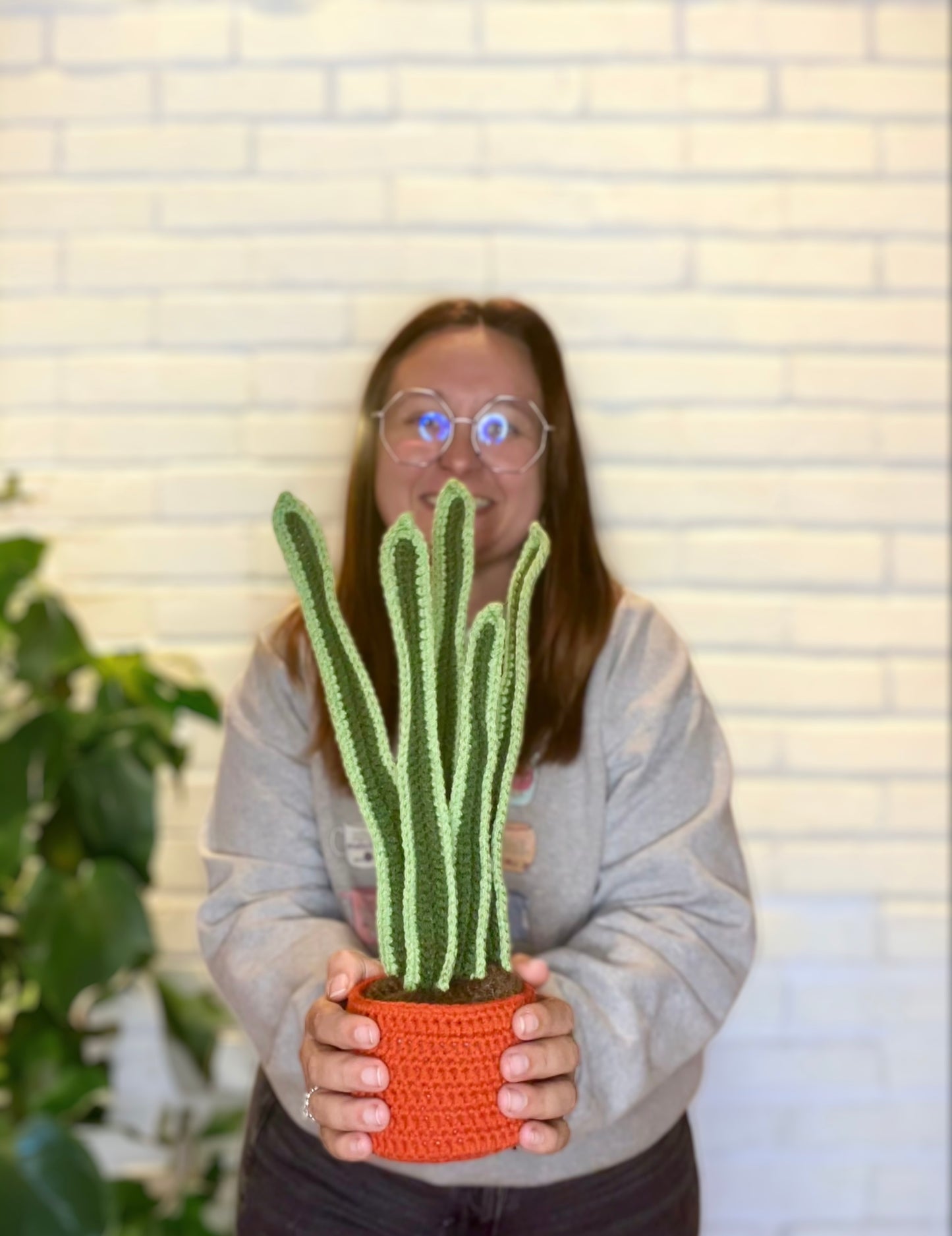 Crochet Realistic Snake Plant