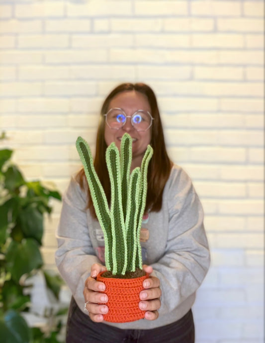 Crochet Realistic Snake Plant