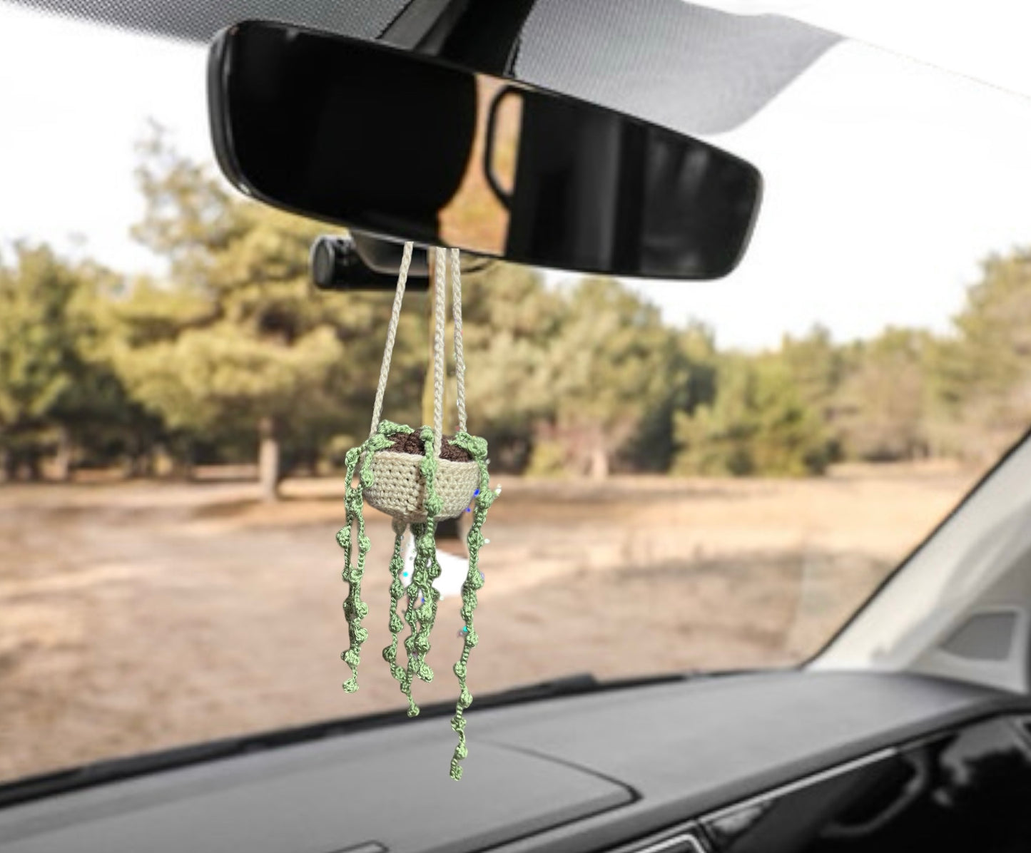 Car Hanger Crochet Amigurumi Repot-able House Plants