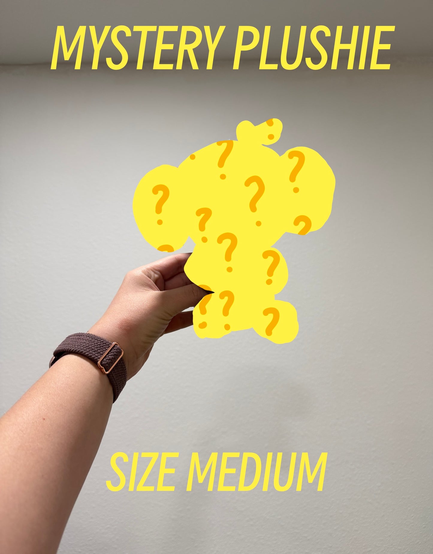 Medium Mystery Plushie