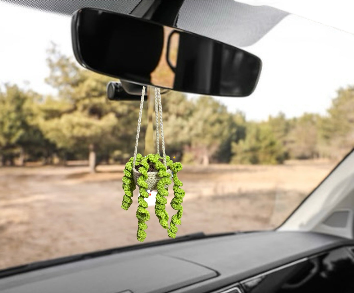 Car Hanger Crochet Amigurumi Repot-able House Plants