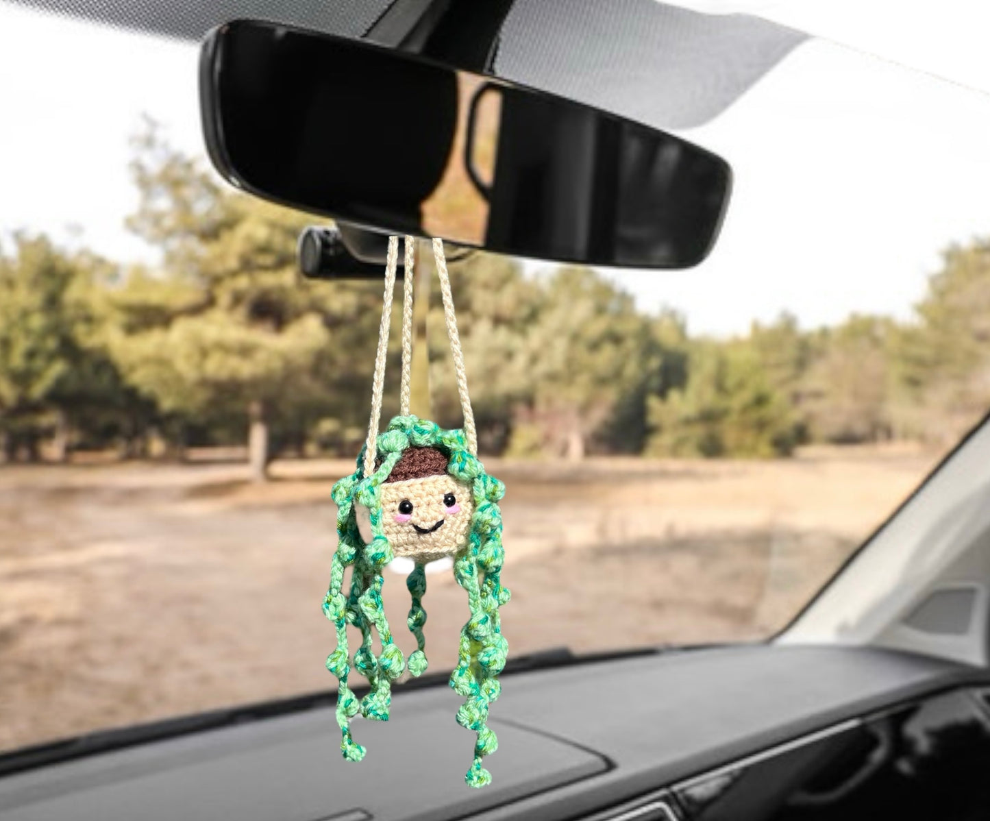 Car Hanger Crochet Amigurumi Repot-able House Plants