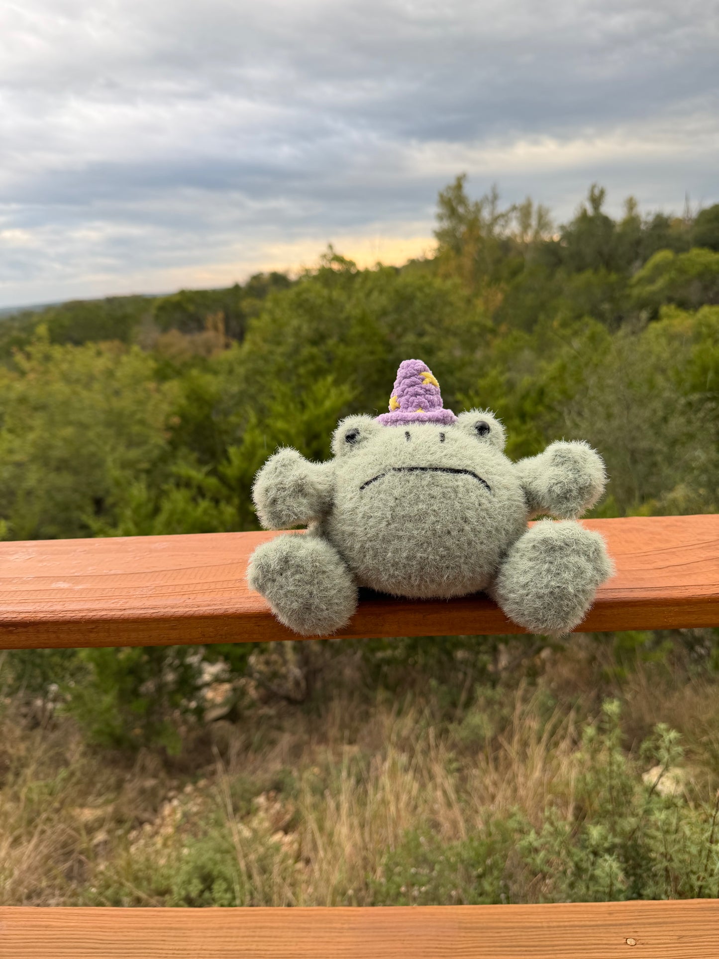 Fuzzy Grumpy Frog Wizard