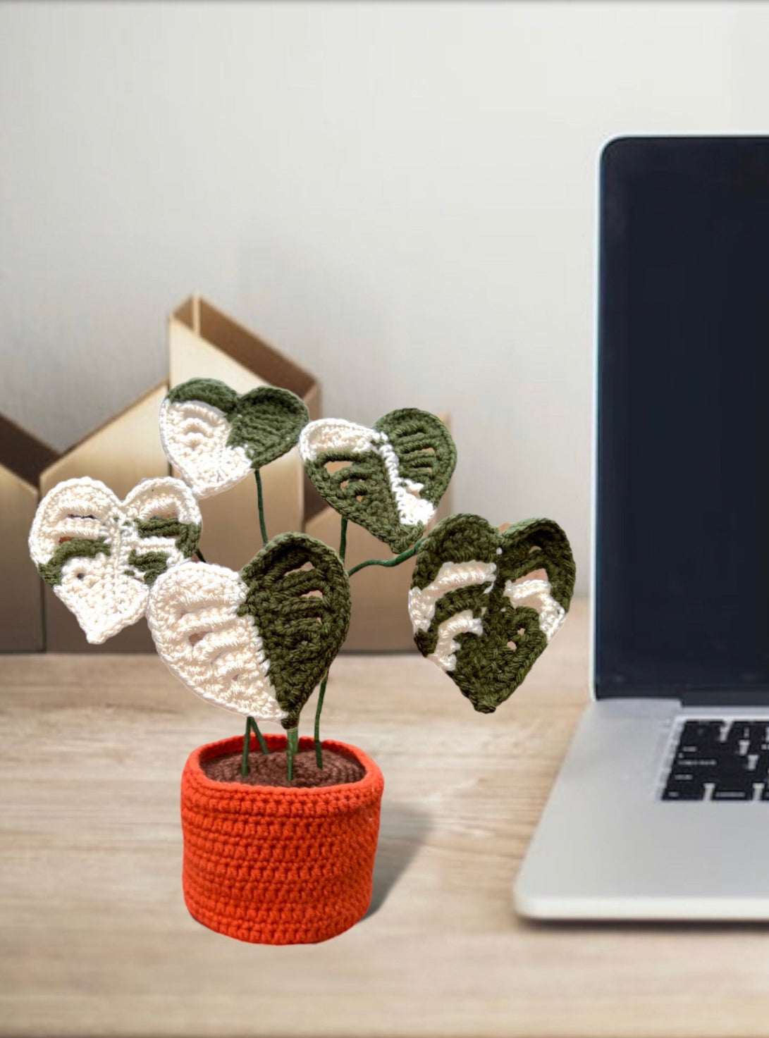 SMALL VERSION Monstera Albo Variegated White